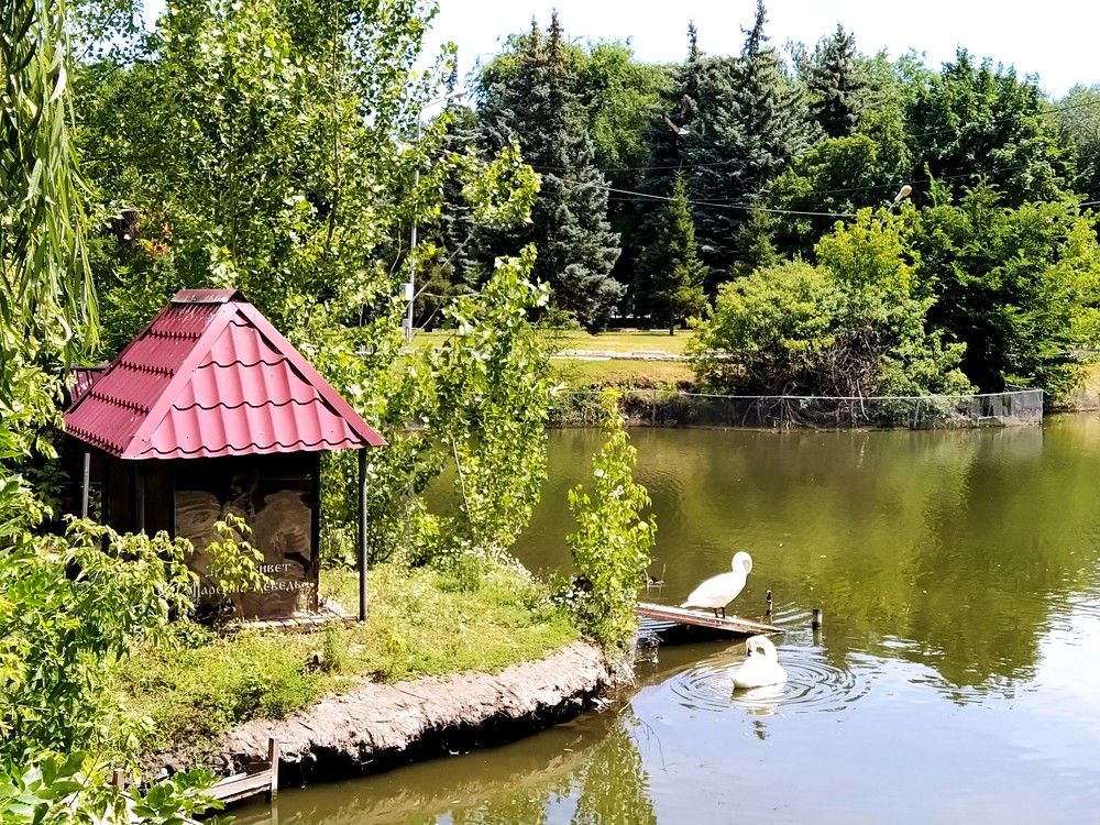 Photograph by Karina Yakovleva