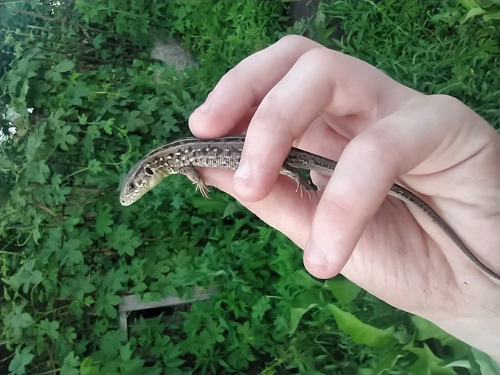 Photograph by Иван Шпень