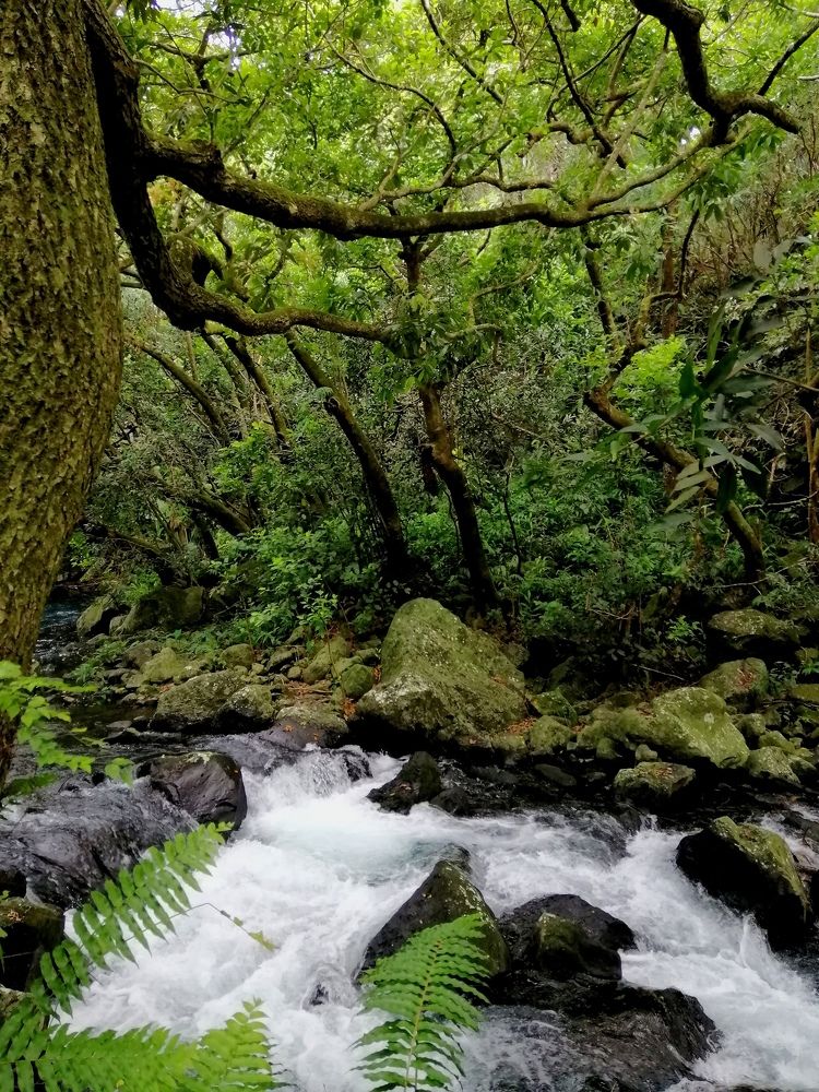 Rivers