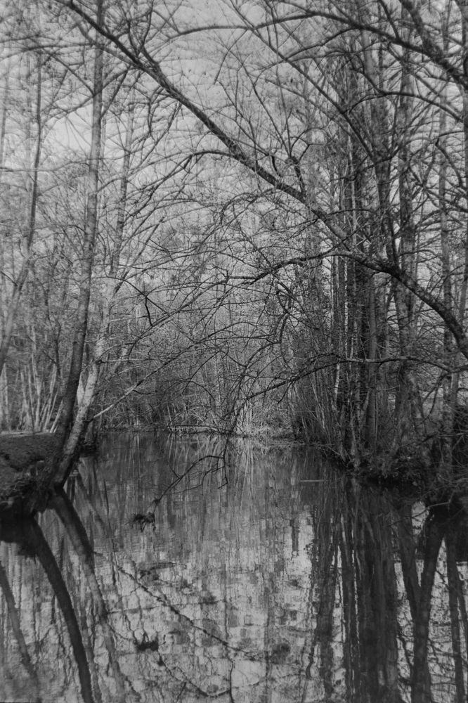 Photograph by Gurval BAGOT