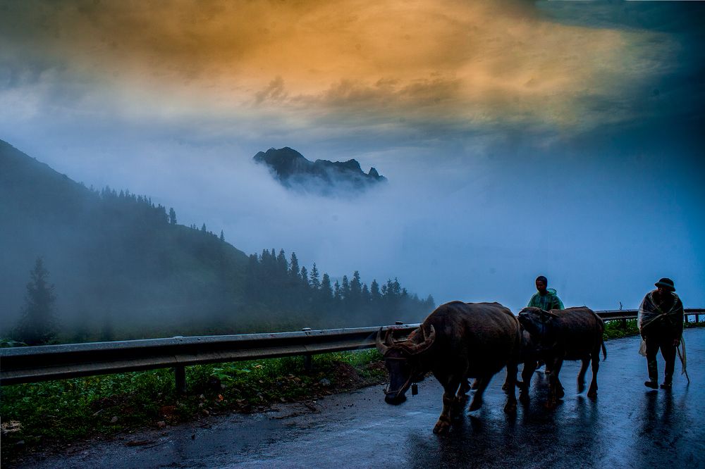 Photograph by Nguyen Duc