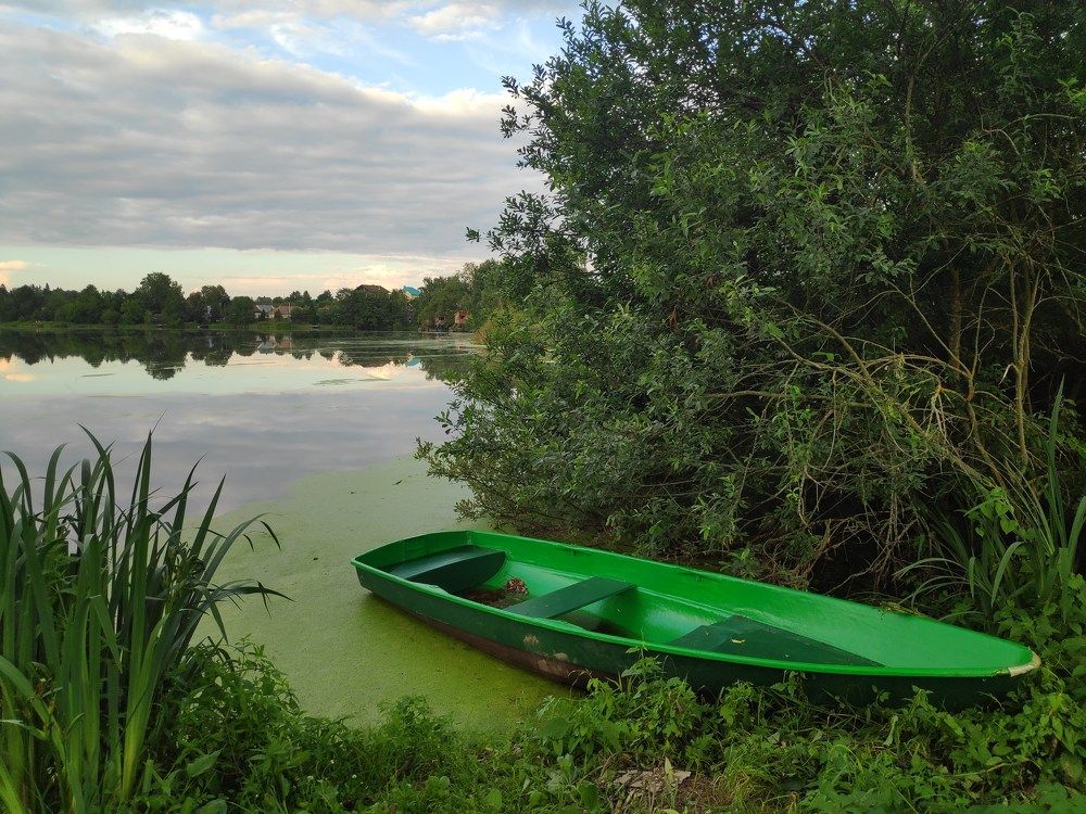 Photograph by Наталья Кошелева