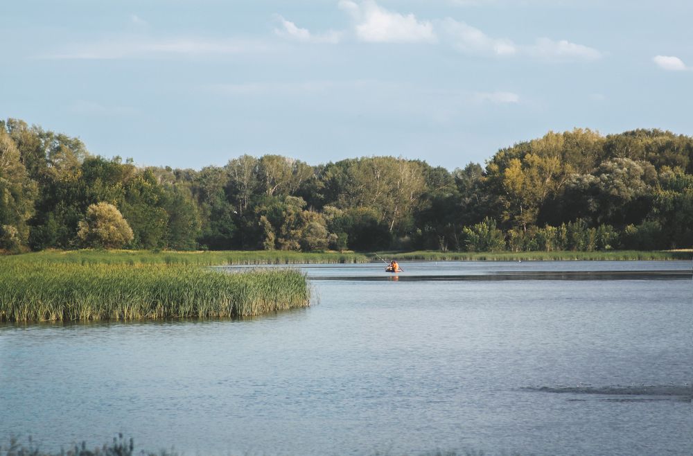 Photograph by Ольга Остапенко