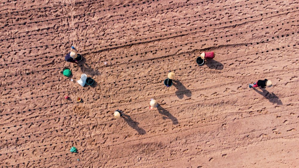 Photograph by Andy Lam