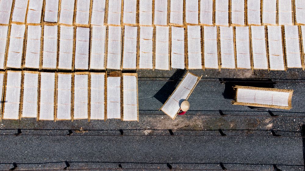 Photograph by Andy Lam