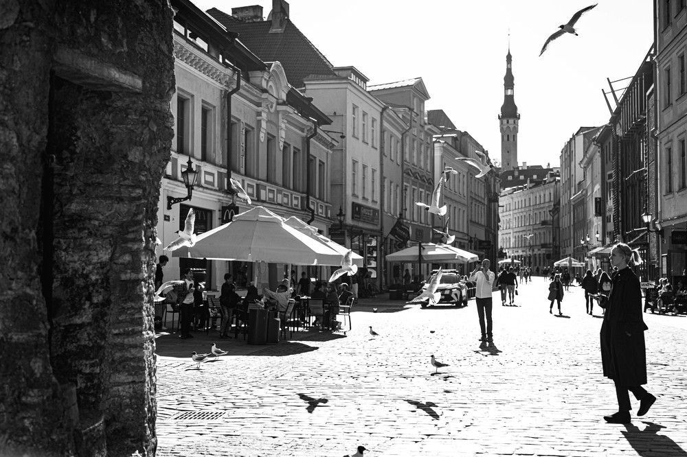 Photograph by Olga Taaramäe