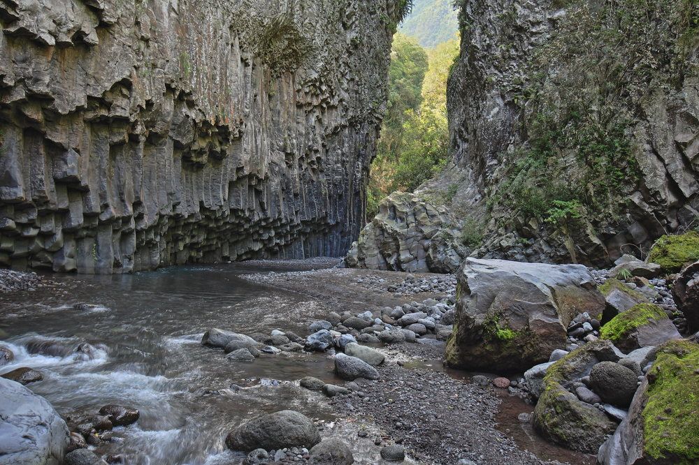 Photograph by Popa Alin