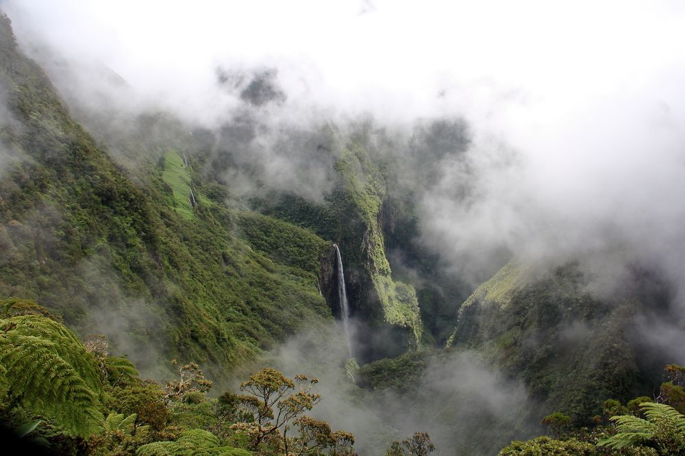 Photograph by Popa Alin