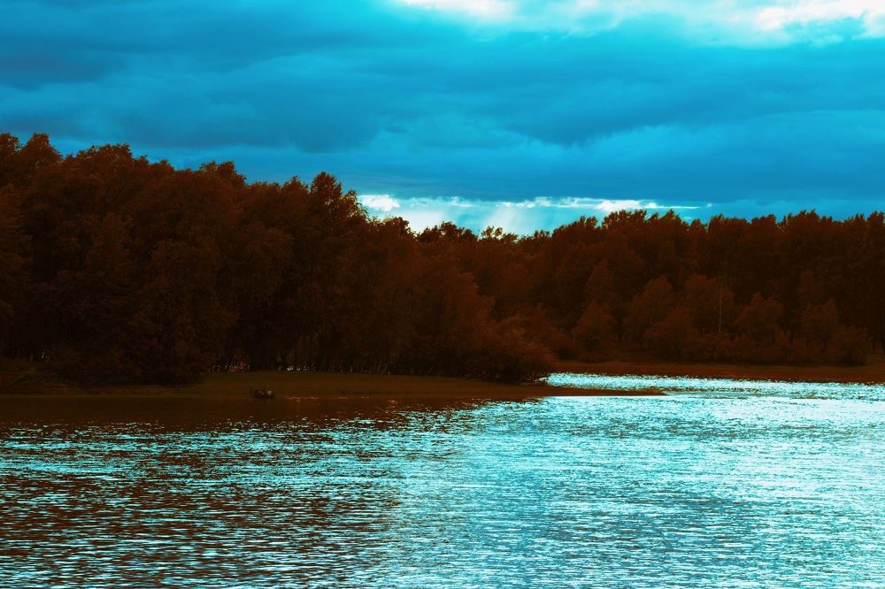 Фотография автора Margarita Chsherbakova