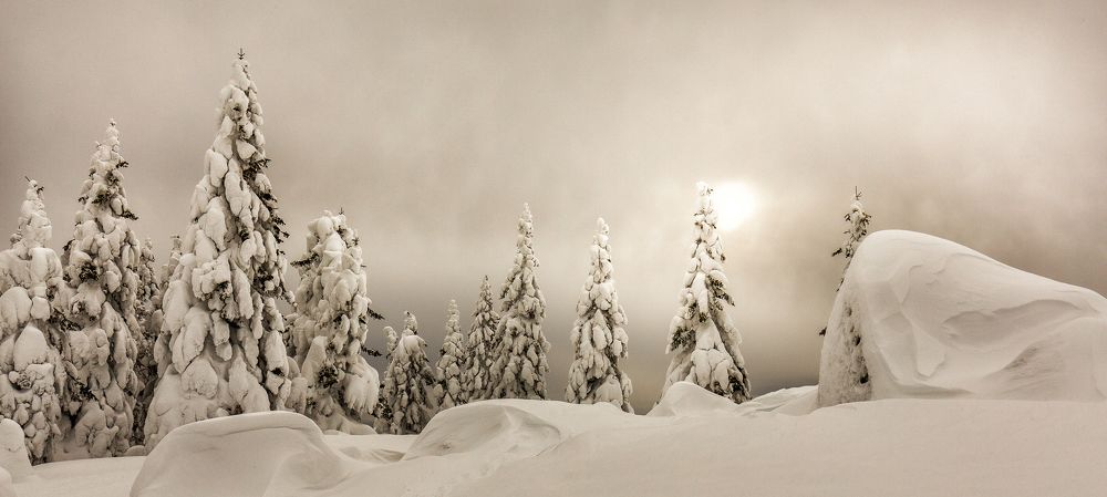 Photograph by Сергей Евдокимов