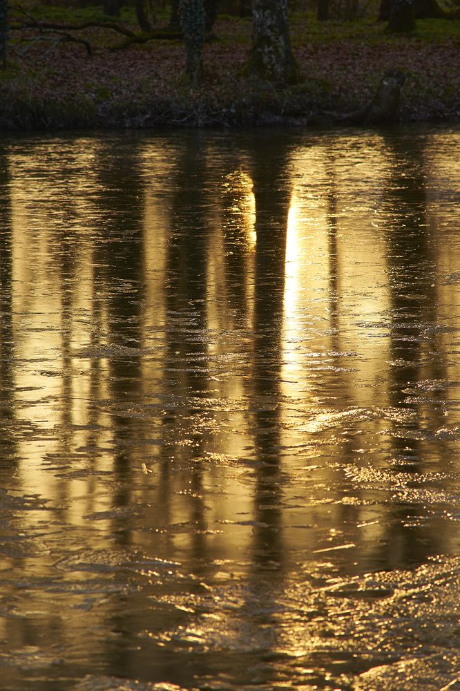 Photograph by Gurval BAGOT