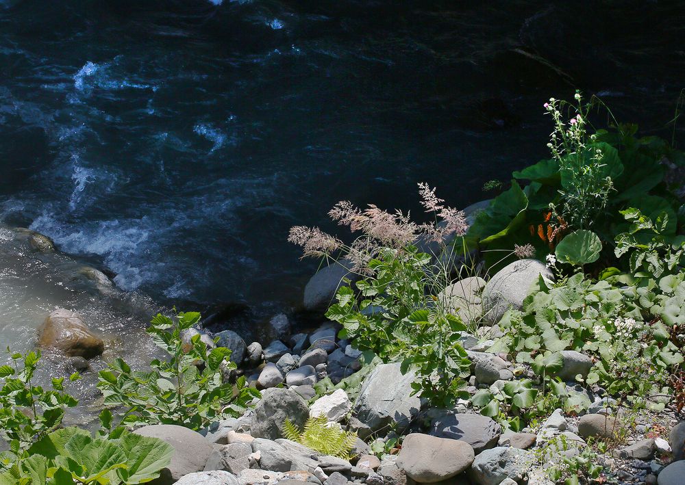 Берег Мзымты