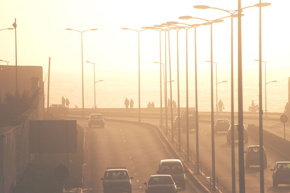 Photograph by Александра Гревцева