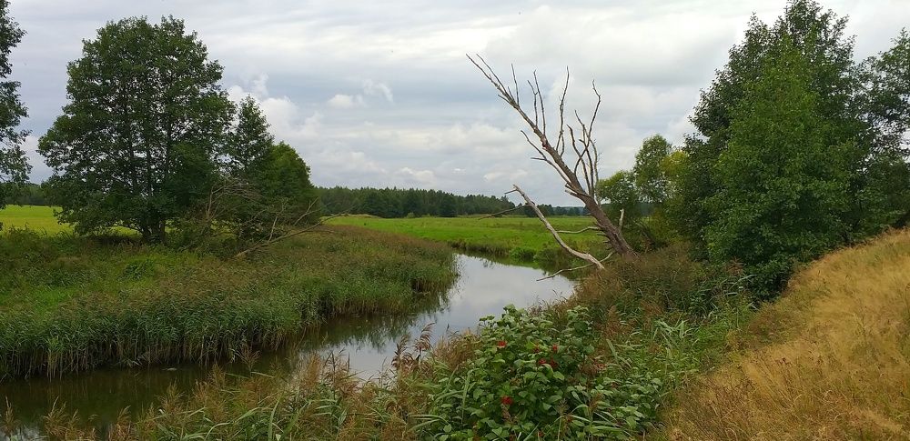 Photograph by Inna Kabanovich