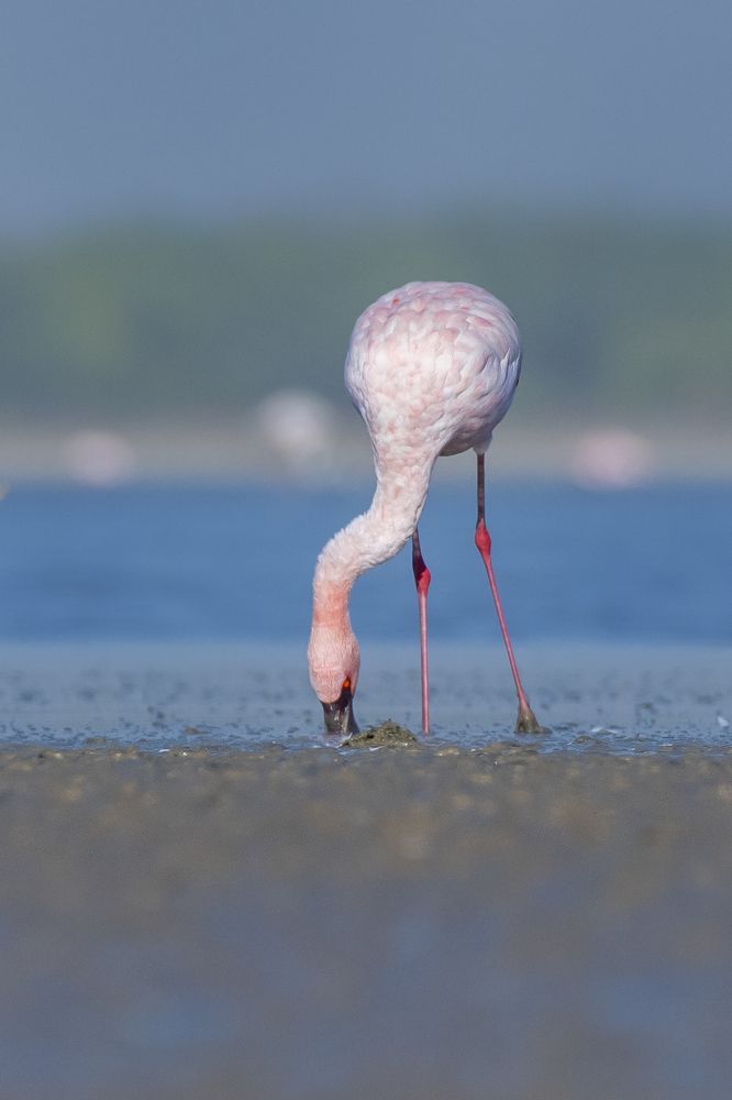 Photograph by Suman Paul