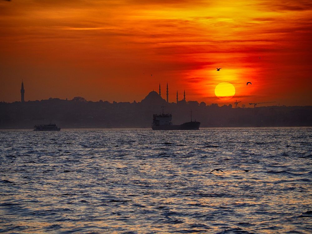 Photograph by Constantin Ciobanu