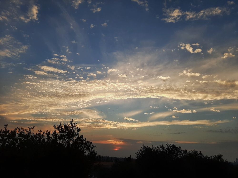 Photograph by Osama Khaleel