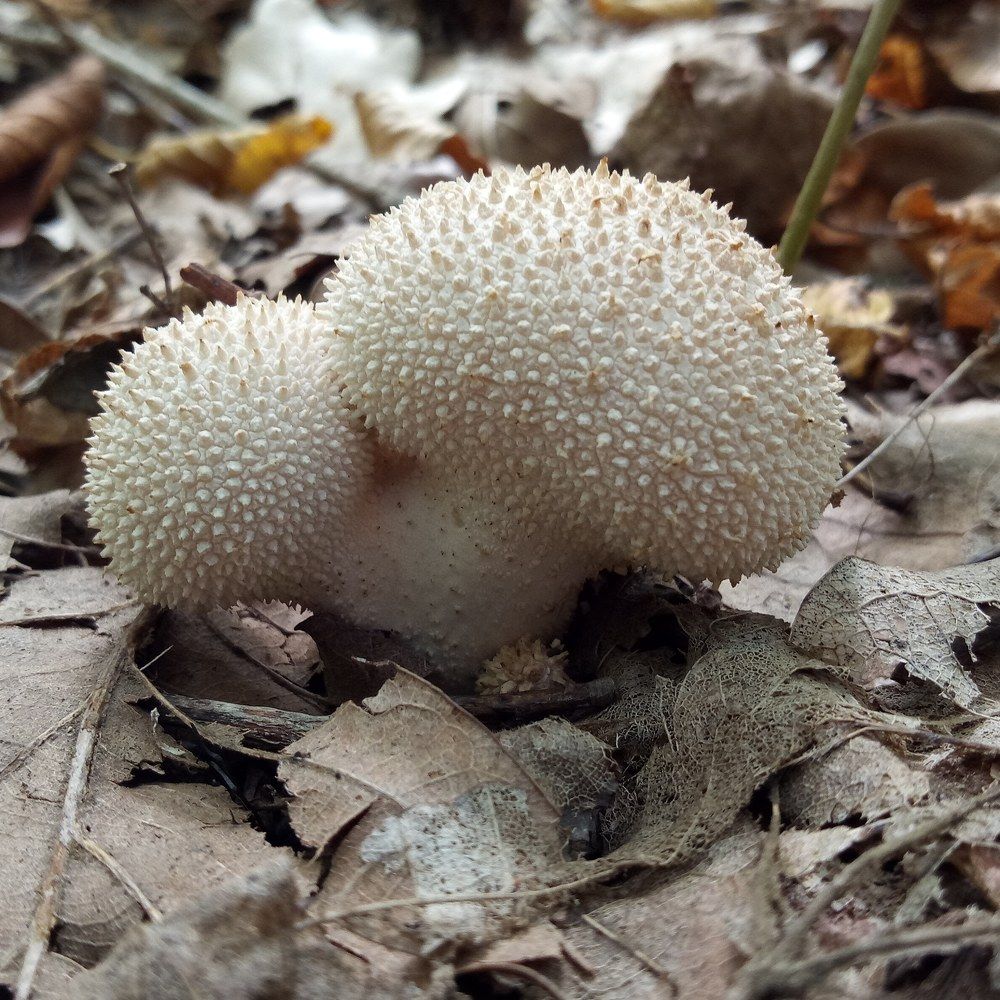 Photograph by Алексей Казадаев