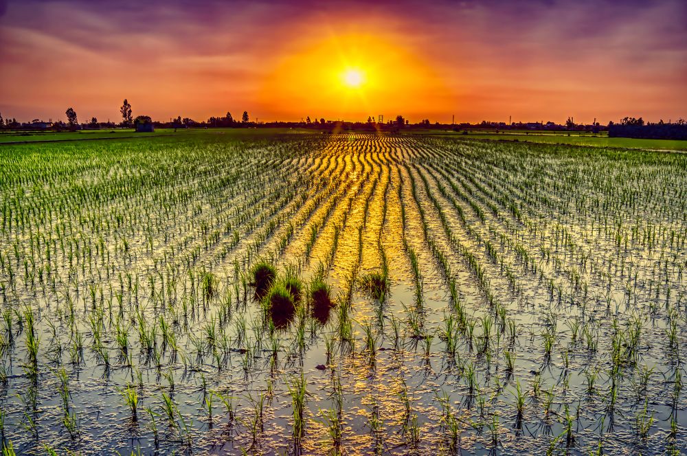 Фотография автора Pejman Sadeghzadeh