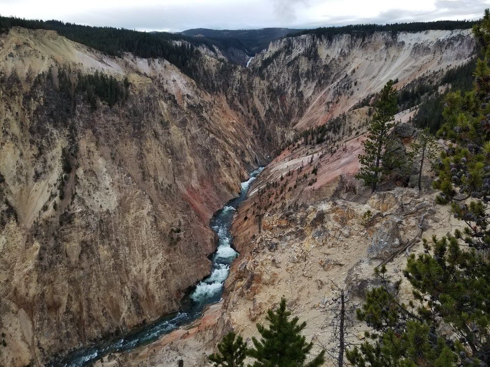 Photograph by Rosalie Millen