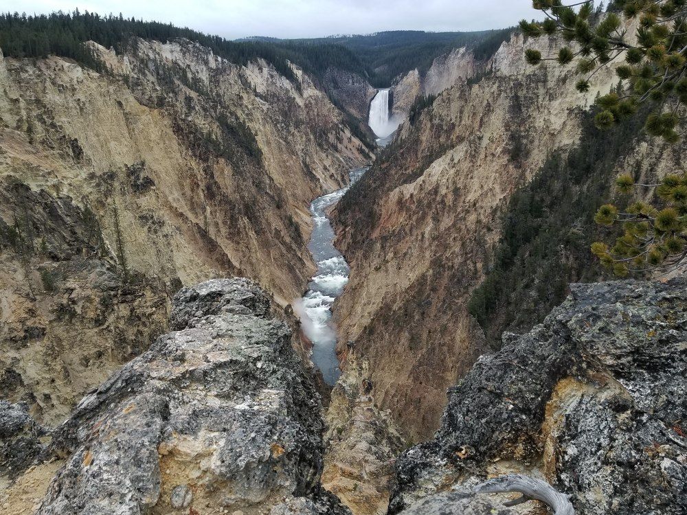 Photograph by Rosalie Millen