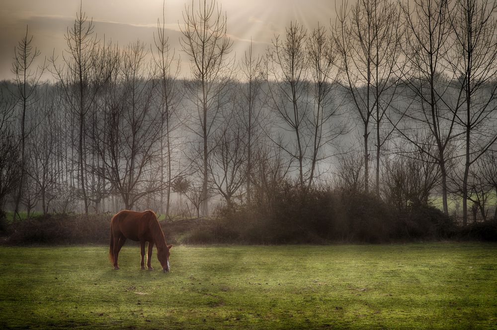 Фотография автора Pejman Sadeghzadeh