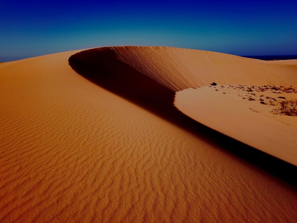 Photograph by Enrique S. Alonso