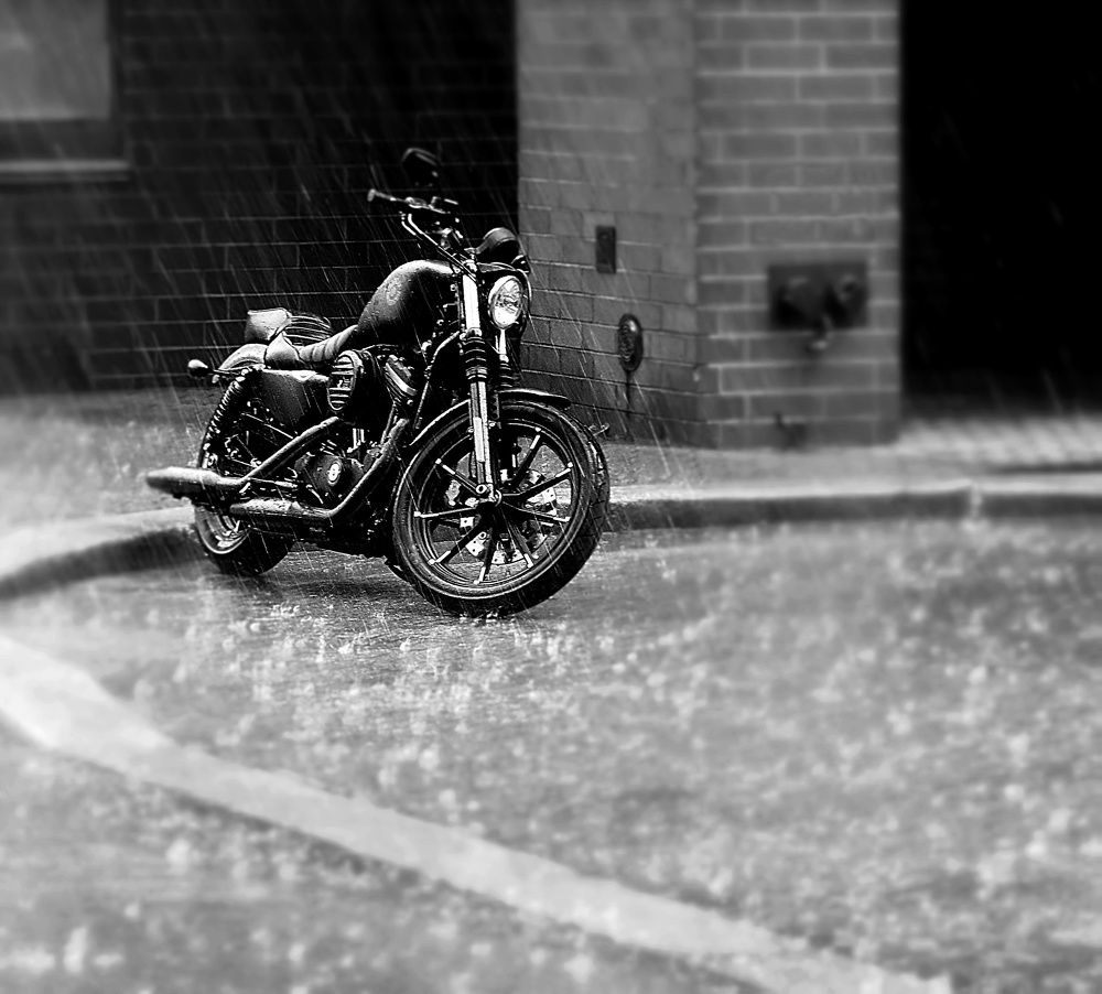 Photograph by Norayr Khazhakyan