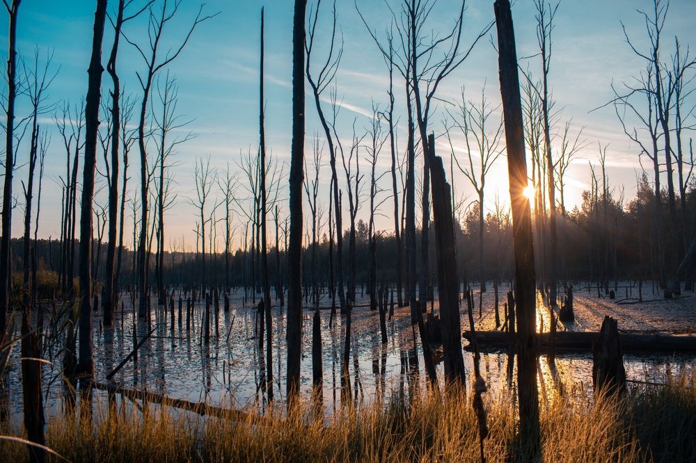 Photograph by Семён Чернобельский