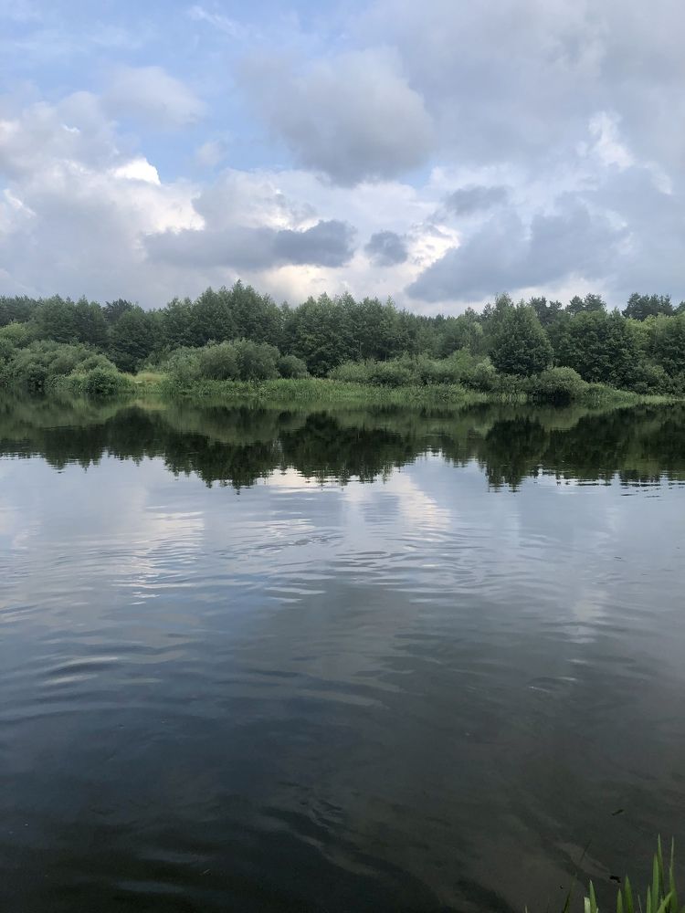 Фотография автора Наталья Васько -Черданцева