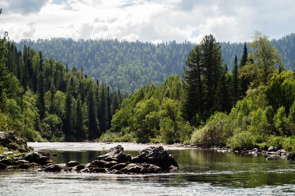 Photograph by Диана Кошелева