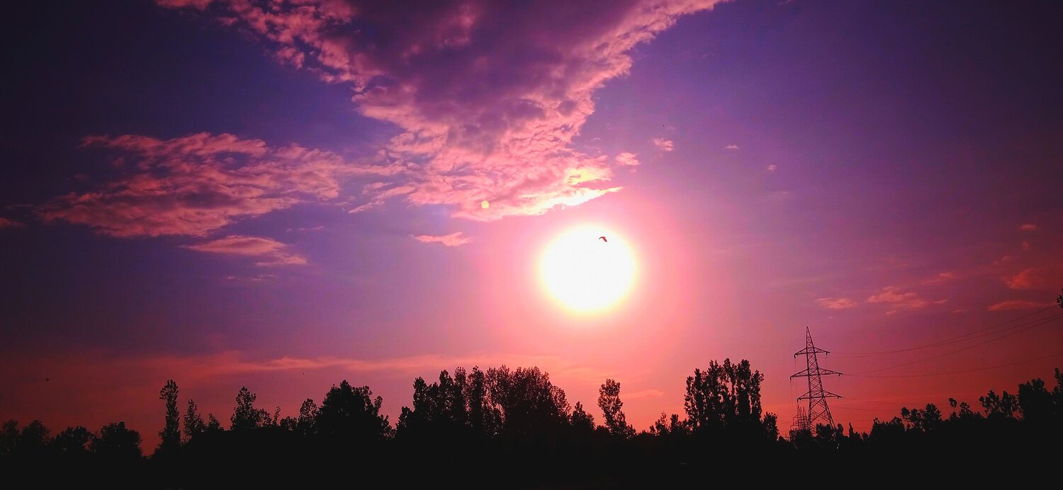 Photo #6284835