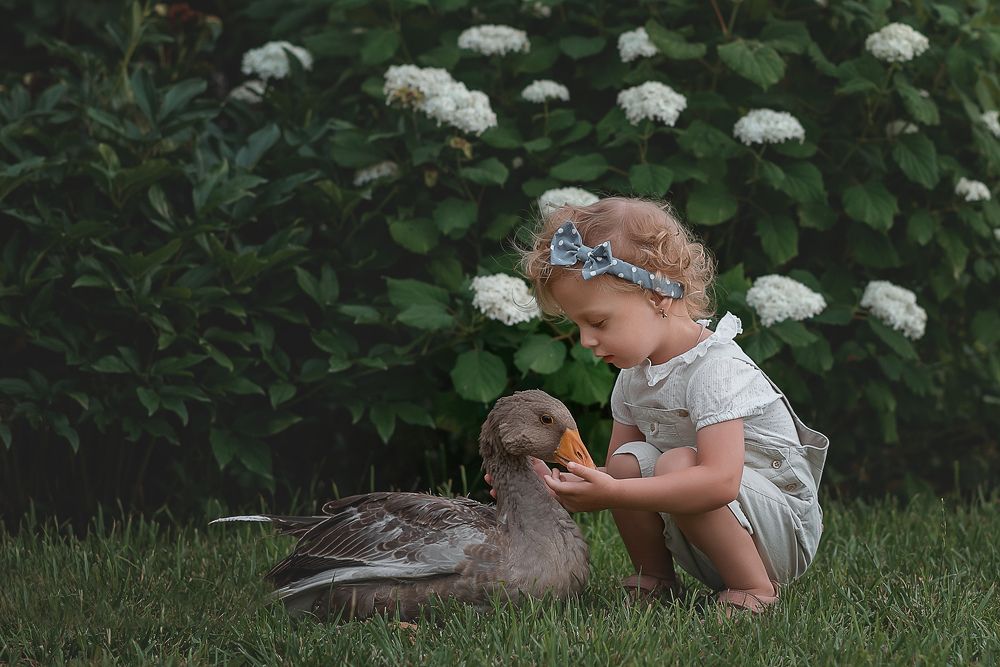 Photograph by Лариса Фомина