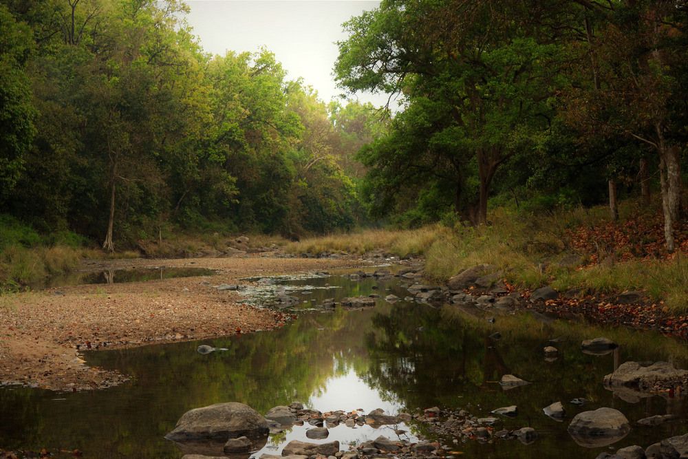 Photograph by Nirmalya Chakraborty