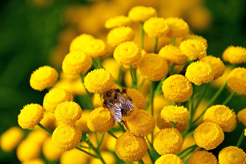 Photograph by Radu Marian