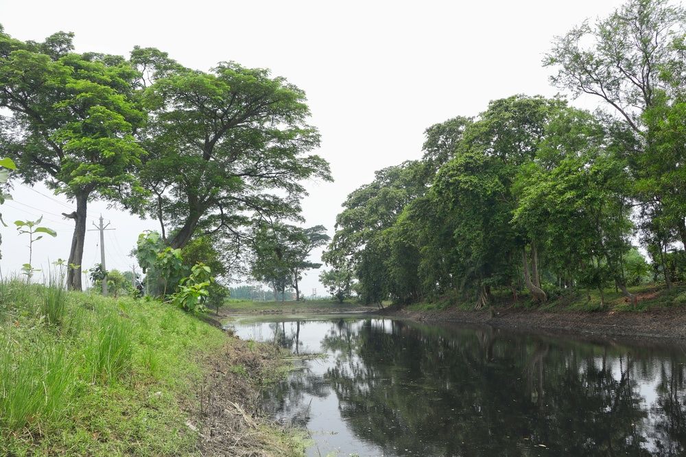 Фотография автора Abhijit Mukherjee