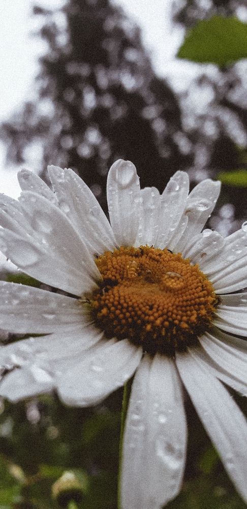 Photograph by Алёна Губинская