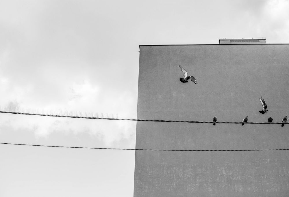 Photograph by Anna Piwowarska-Sosik