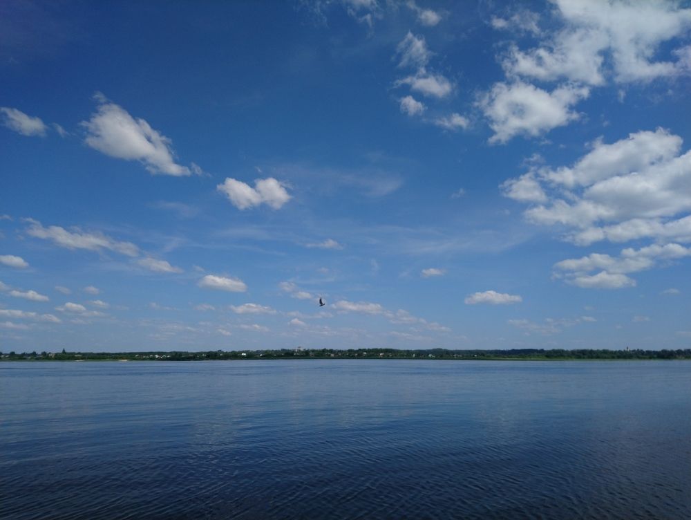 Photograph by Инна Голубева