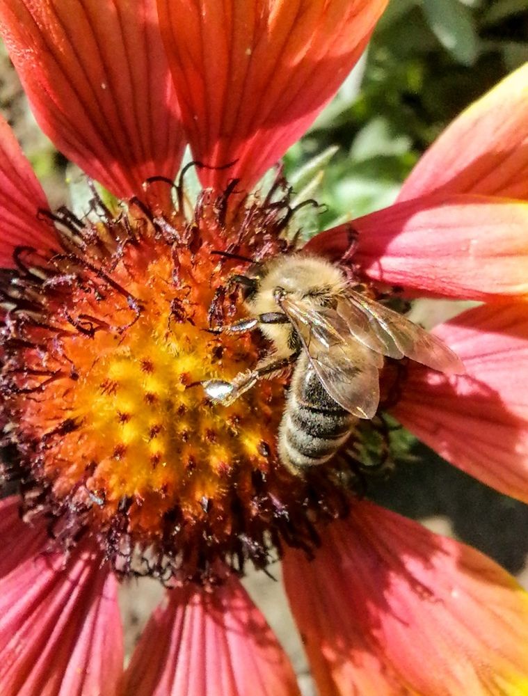 Photograph by Vesna Petkoska