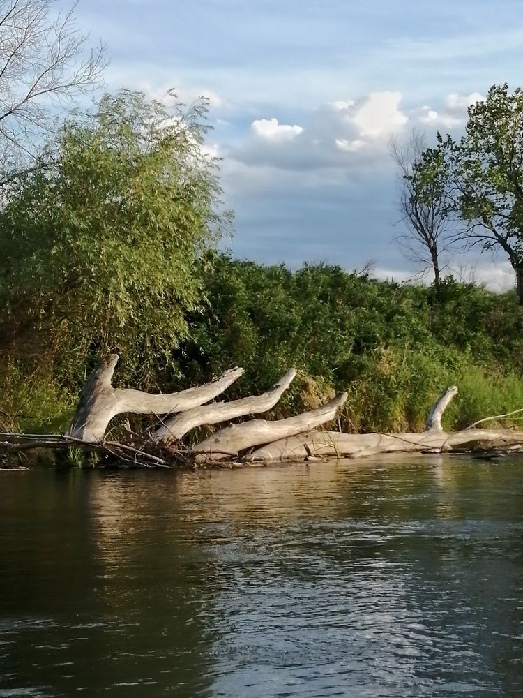 Photograph by Ольга Мокрова