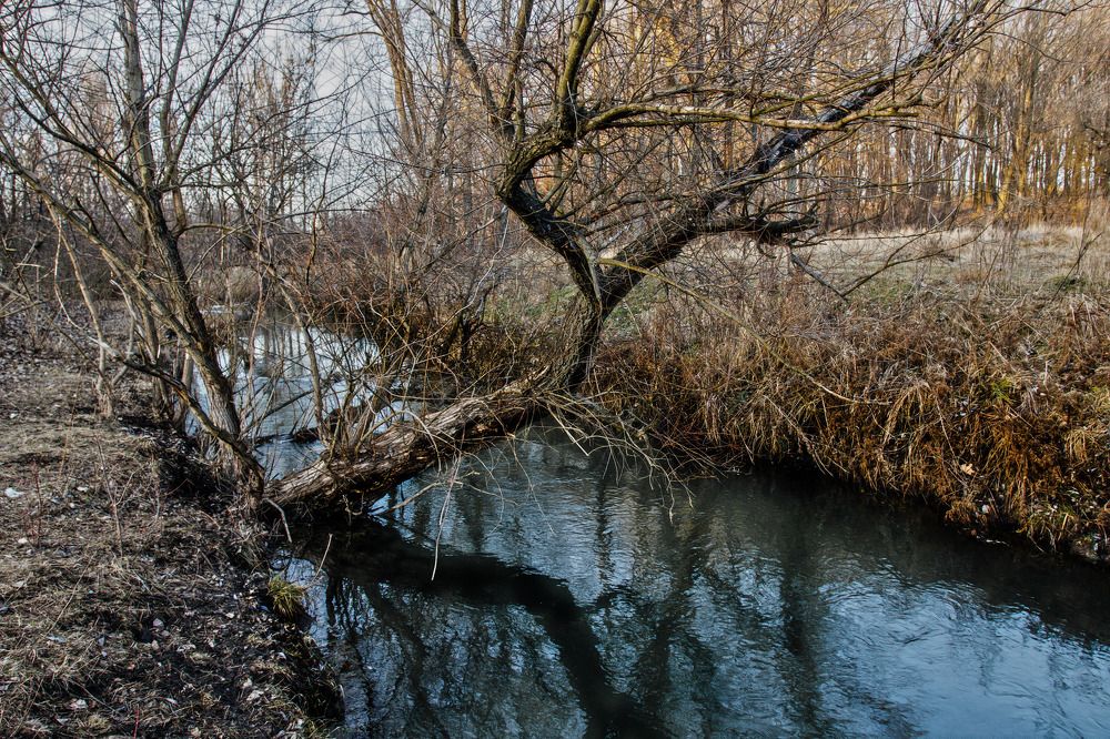 Photograph by Александр Стрельченко