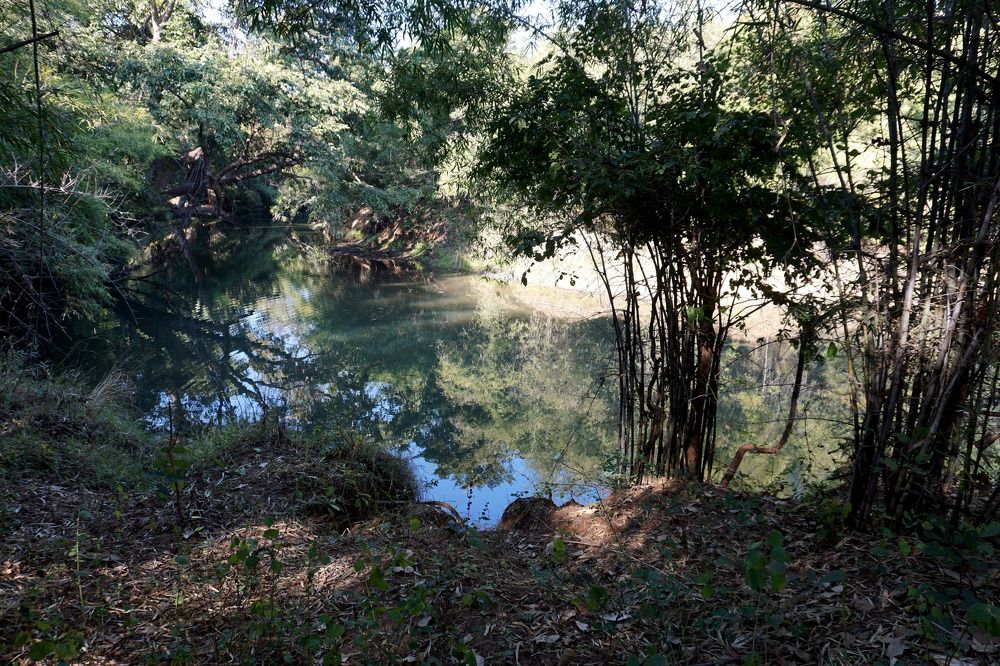 Photograph by Diya Chakraborty