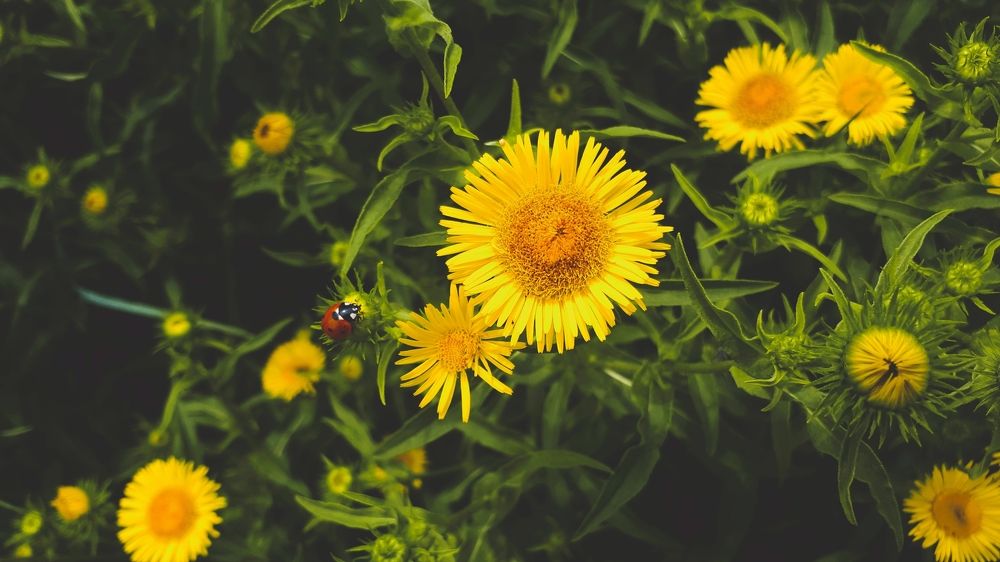 Photograph by Алёна Бондаренко