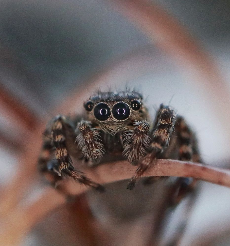 Photograph by Ирина Корабельникова