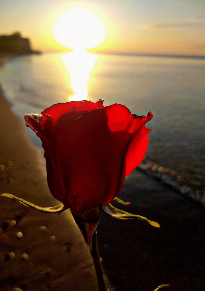 Photograph by Анна Гросу