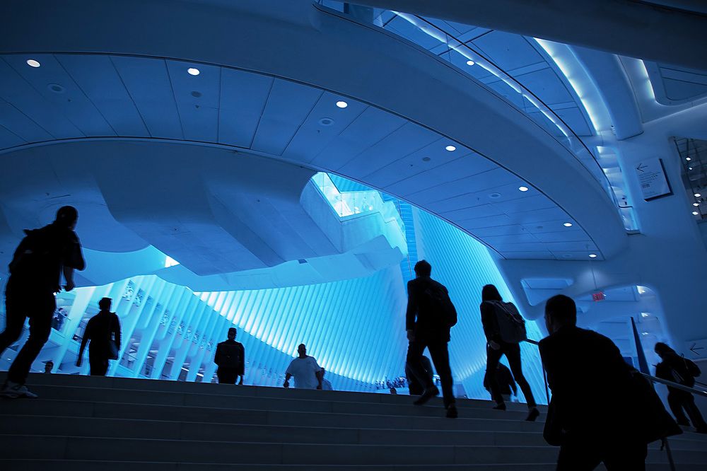 Фотография автора Elshafei Salih