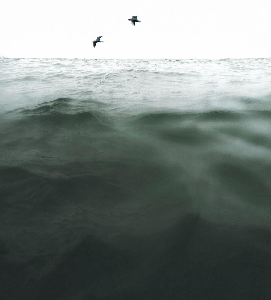 Photograph by Arandas Majd