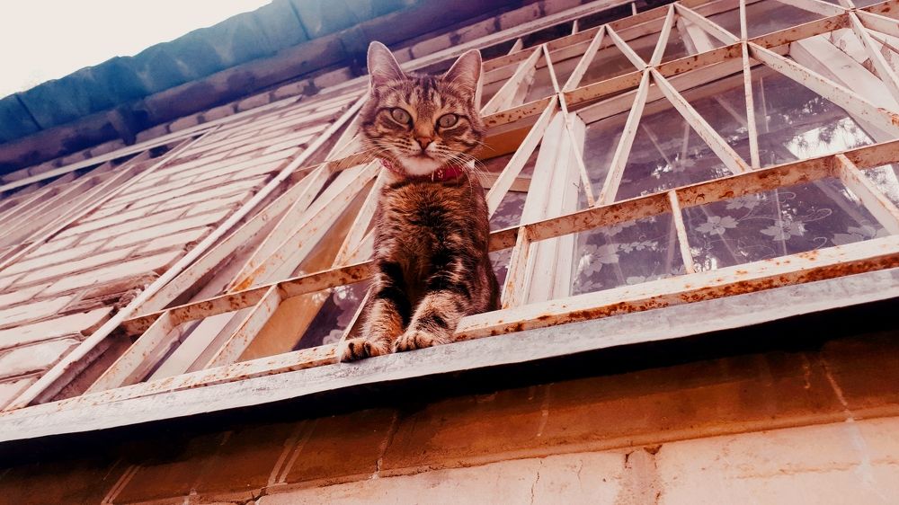 Photograph by Алёна Бондаренко