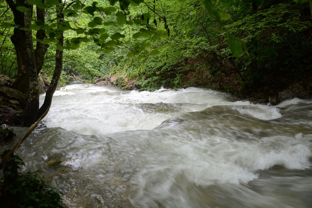 Photograph by Екатерина Крючкова